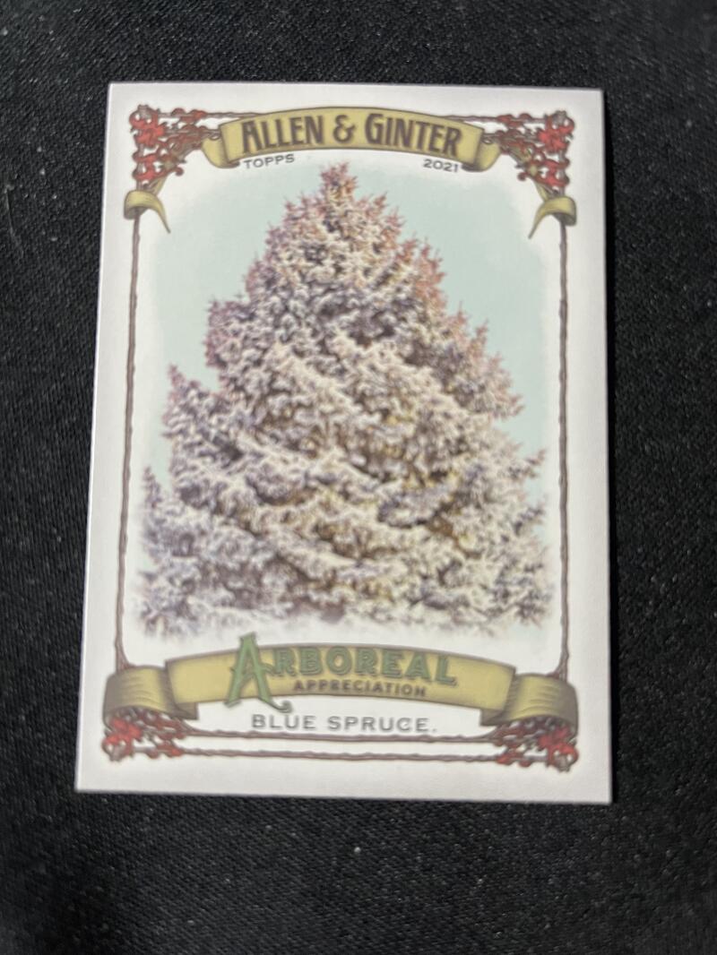2021 Allen and Ginter Arboreal Appreciation #AA-1 Blue Spruce NM-MT